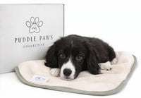 Large Puddle Paws Blanket